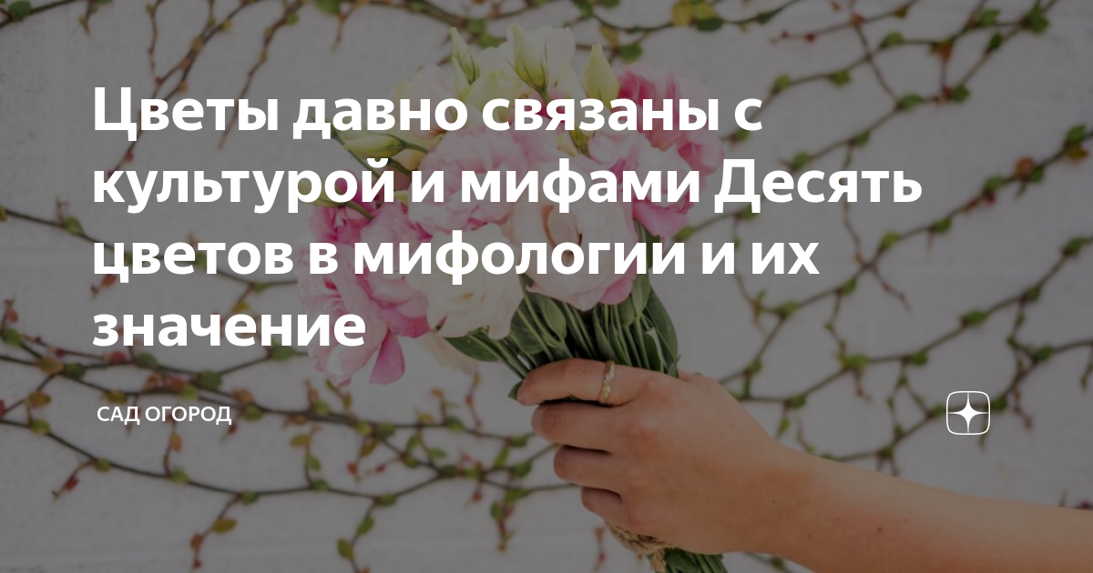 Цветы давно связаны с культурой и мифами Десять цветов в мифологии и их ...