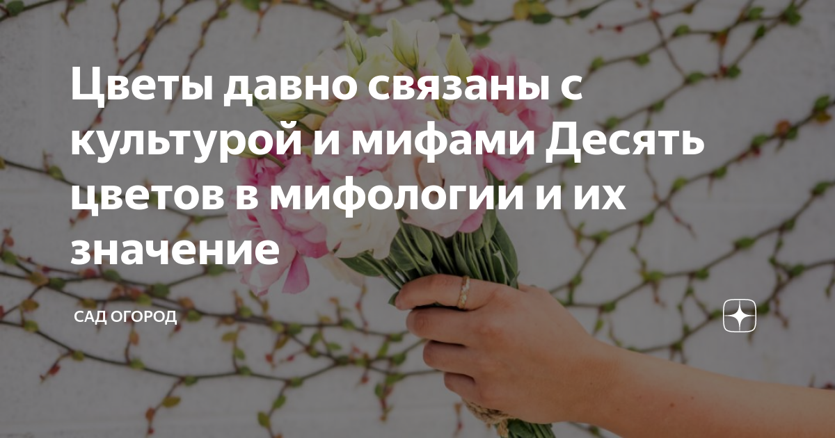 Легенды о цветах | Централизованная система детских библиотек города Рязани