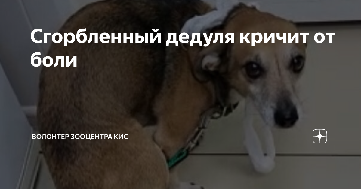 Трудовая жизнь не сгорбила а даже