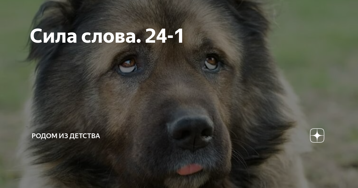 Сила слова. 24-1 | Родом из детства | Дзен