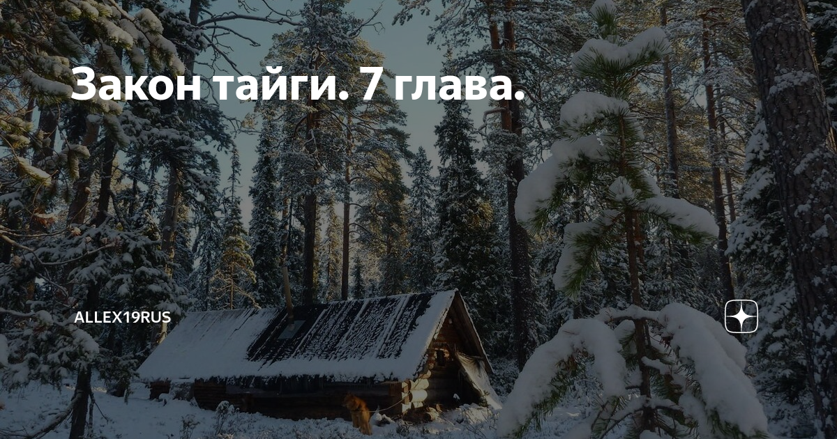 Хочу в тайгу. Законы тайги. Тайга стояла Тихая.