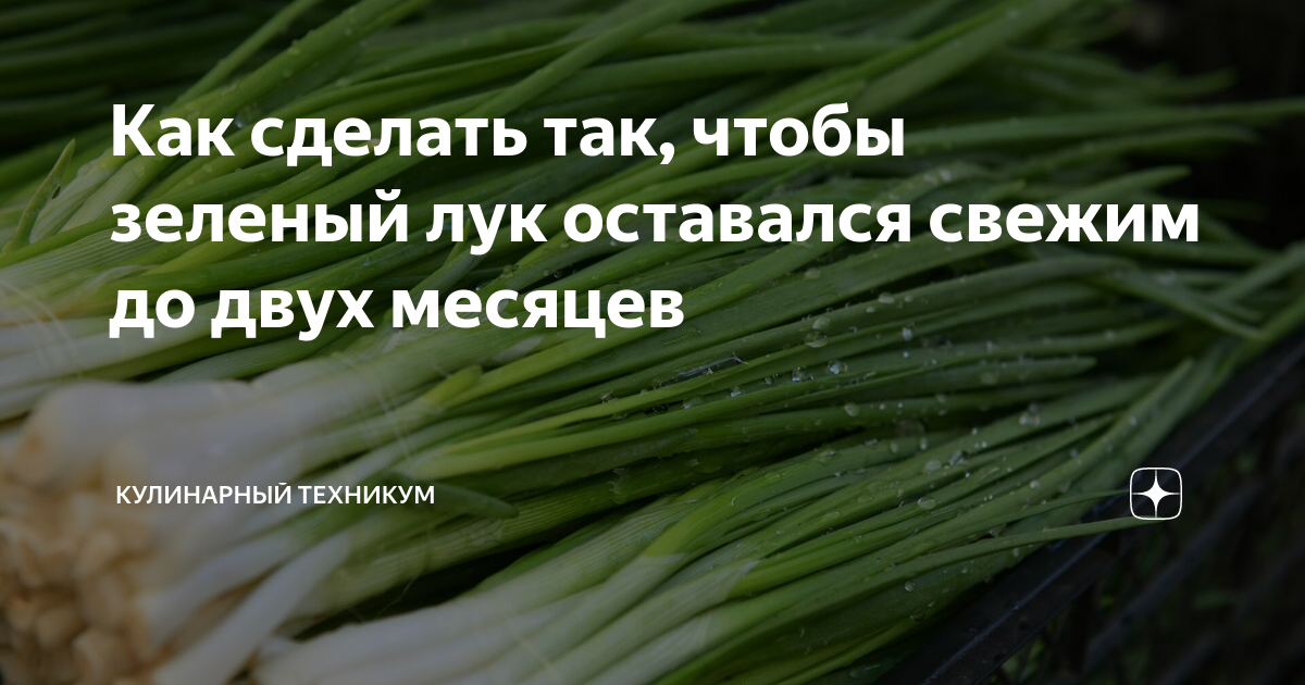 Как сделать так, чтобы зеленый лук оставался свежим до двух месяцев ...