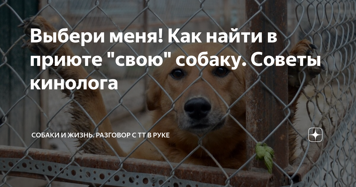 Солнце находило свой приют