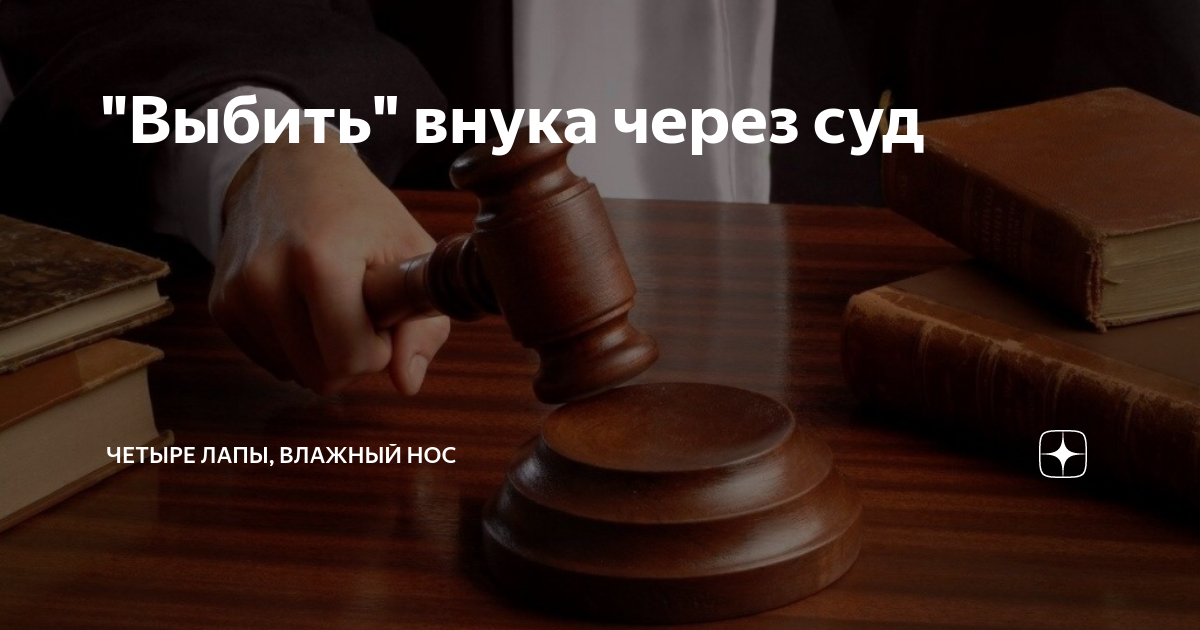 "Выбить" внука через суд | Четыре лапы, влажный нос | Дзен