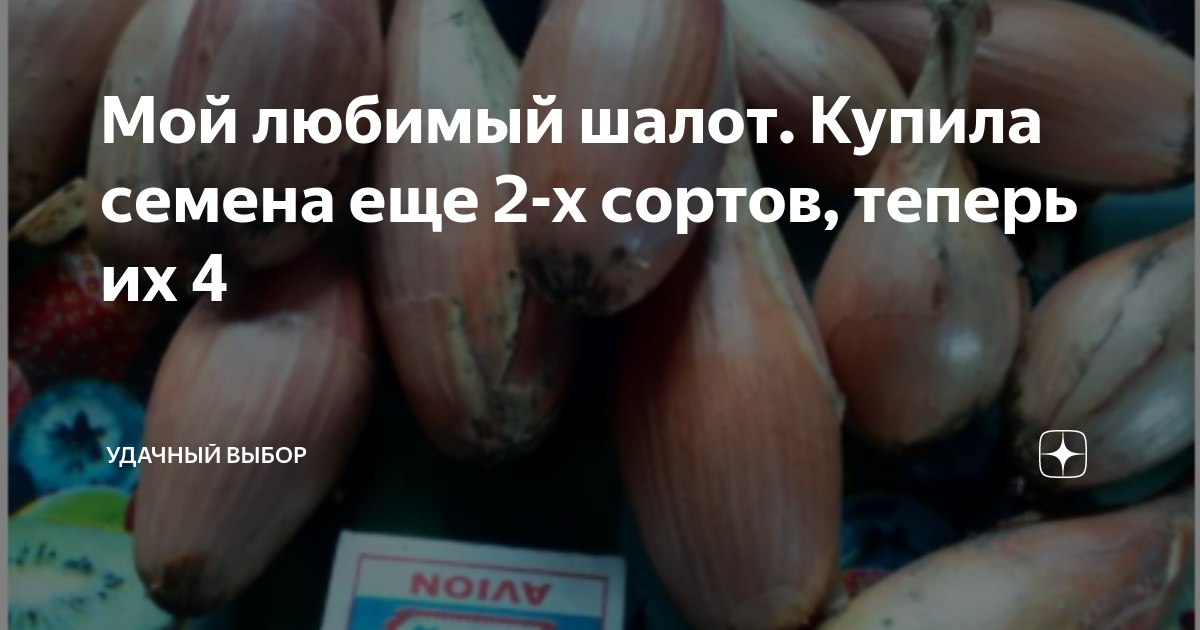 Семена лук-шалот Консерватор F1 МИНСКСОРТСЕМОВОЩ 30 штук - купить в магазине Мас