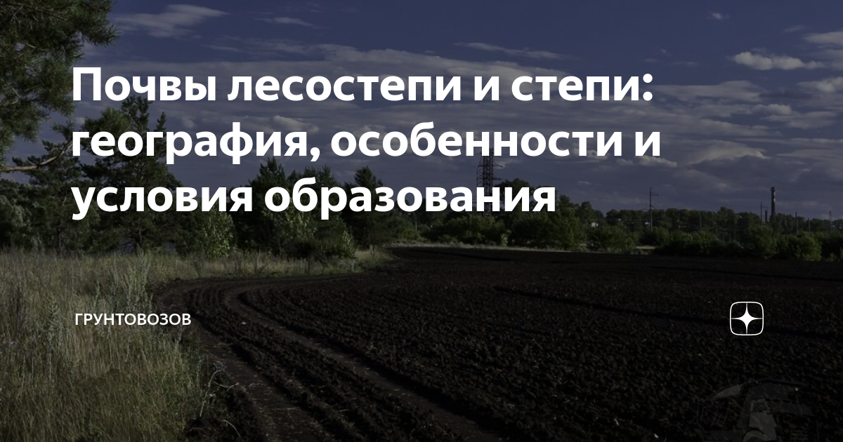 Лугово-черноземные почвы. Лугово-черноземные солонцеватые и солончаковатые почвы