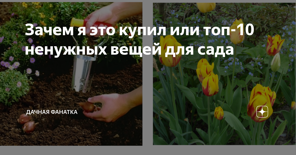 Топ-10 вещей, которые стоит купить для дачи