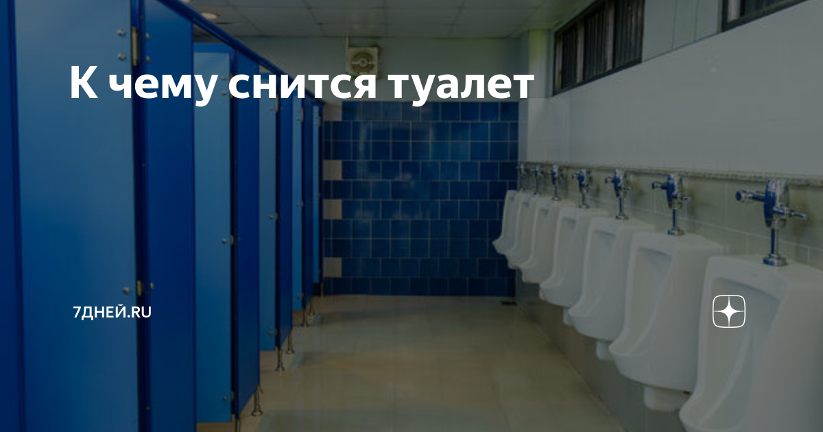 «Туалет к чему снится во сне? Если видишь во сне Туалет, что значит?»