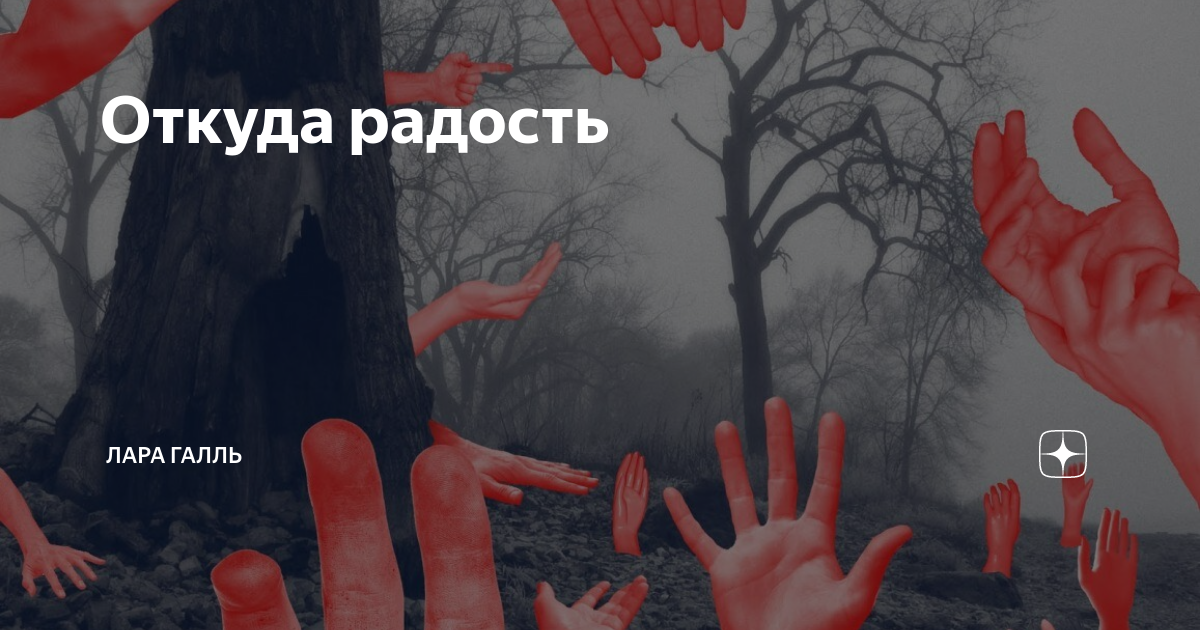 Откуда радость | Лара Галль | Дзен