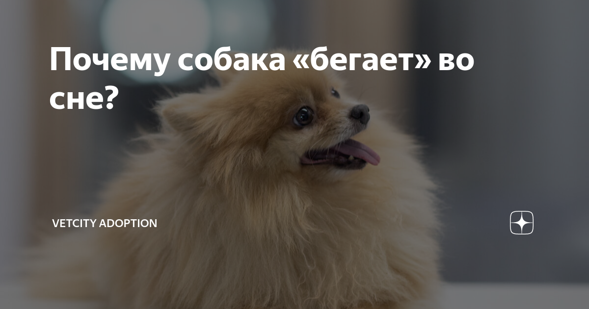                   -  Mailru