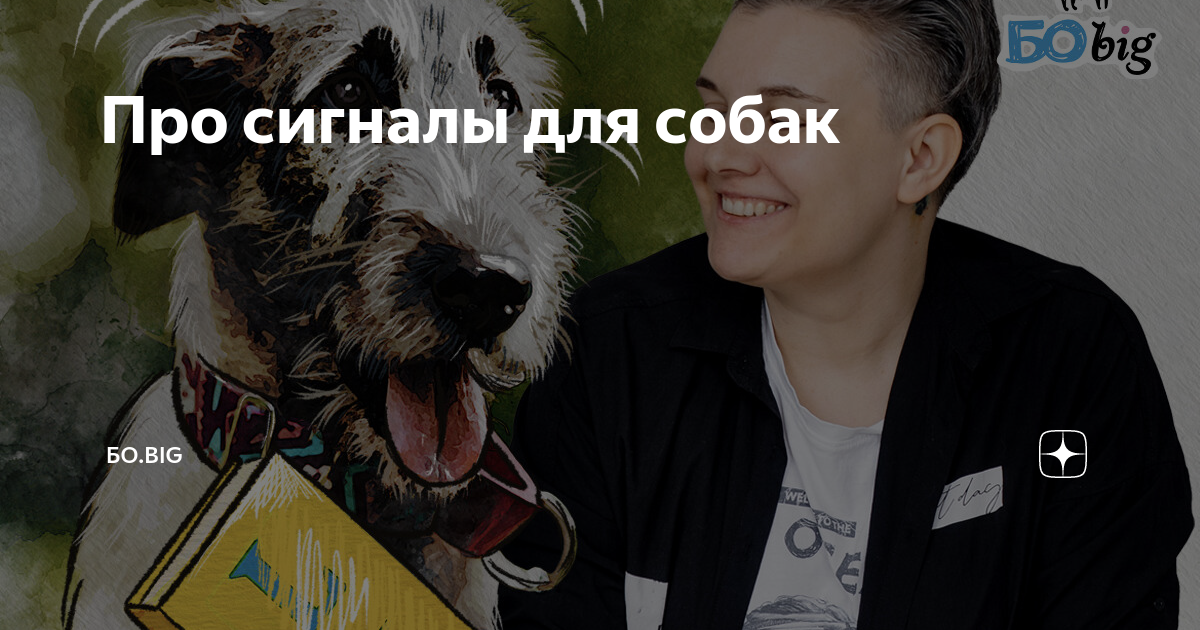 Про сигналы для собак | БО.big | Дзен