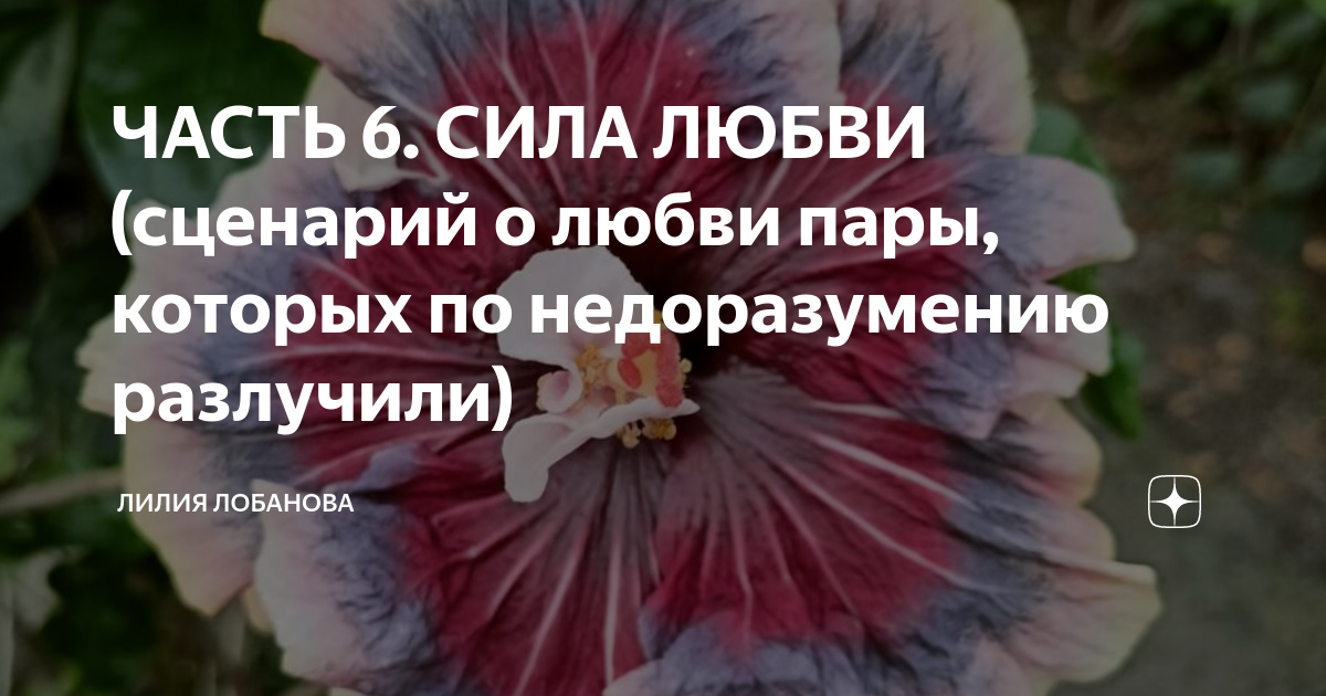 Любовь по сценарию отзывы