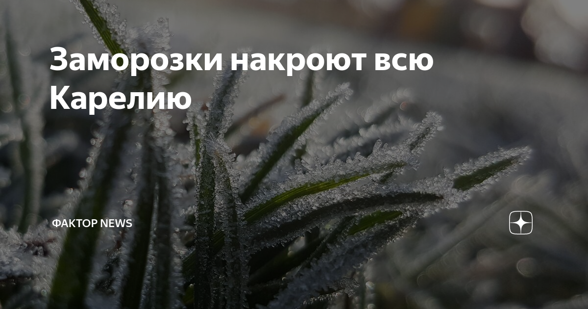 Последнее слово в слове заморозки