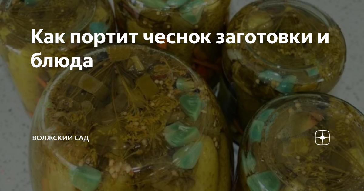 Маринованный чеснок позеленел. Квашеный чеснок. Позеленел чеснок в консервации. Консервированный чеснок. Маринованный чеснок.