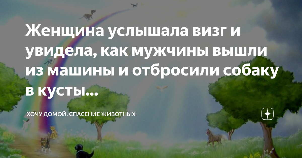 Услышав скрежет ключа. Скрип двери. Почему скрипит дверь. Дверь скрипит. Услышав скрежет ключа.