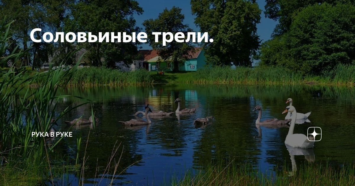 Соловьиные трели. | Рука в руке | Дзен