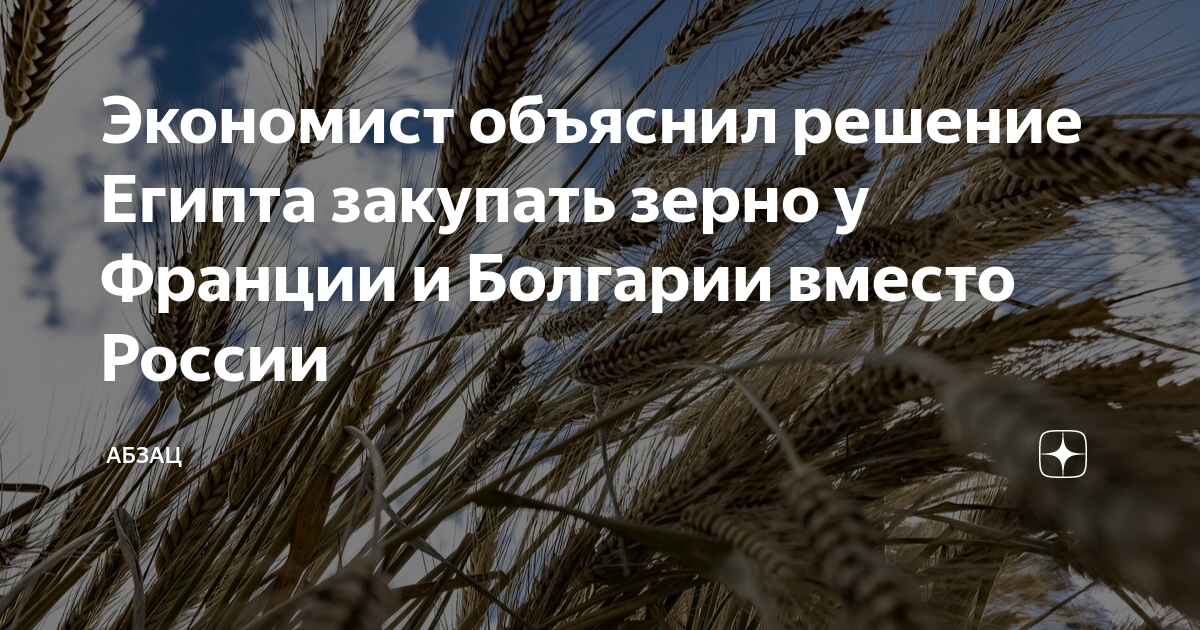 Египет решил закупить пшеницу во Франции и Болгарии вместо России