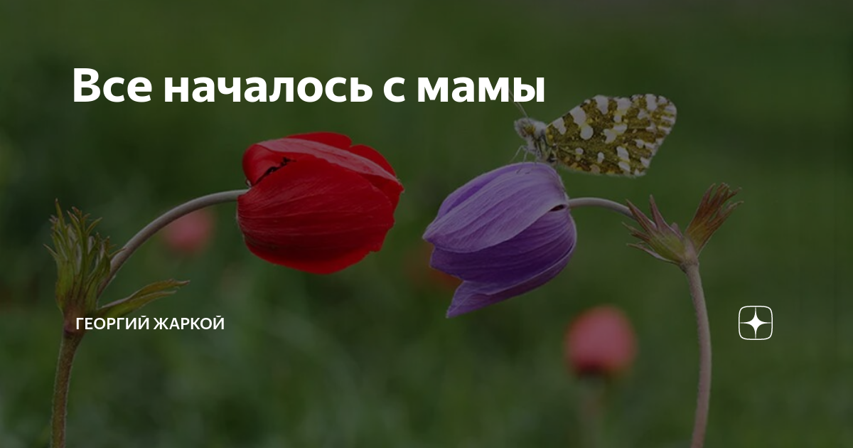 Все началось с мамы | Георгий Жаркой | Дзен