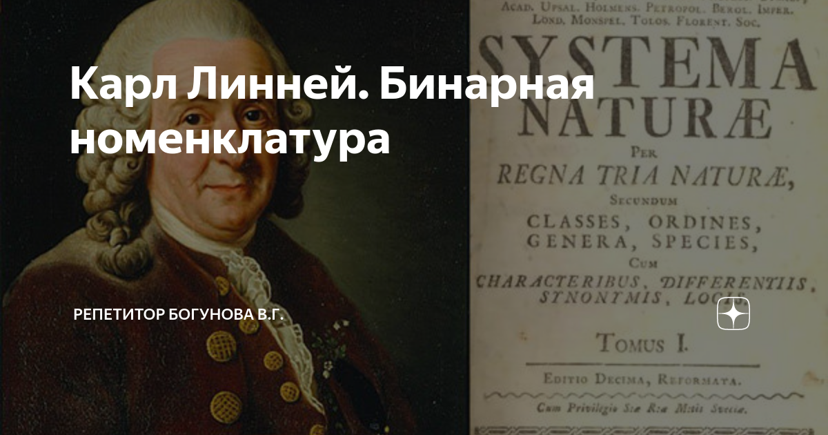 Пример бинарной номенклатуры растений. К. Линней - бинарная номенклатура. Бинарное номенкулатура. Бинарная номенклатура животных.