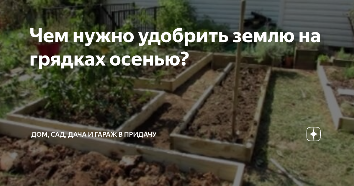Чем нужно удобрить землю на грядках осенью? | Дом, сад, дача и гараж в ...