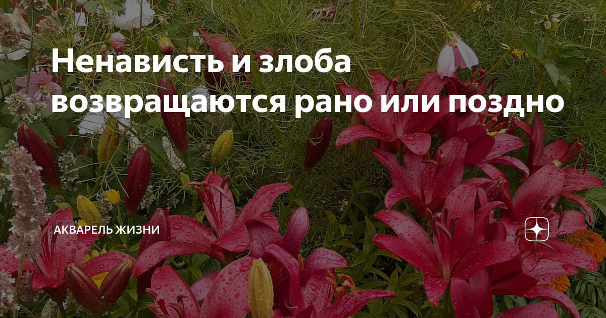 что такое не везёт или расступись а то заденет