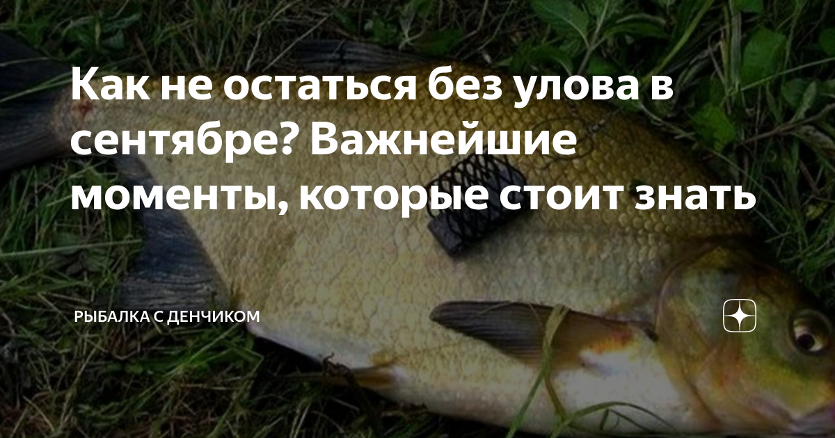 Как не остаться без улова в сентябре? Важнейшие моменты, которые стоит ...