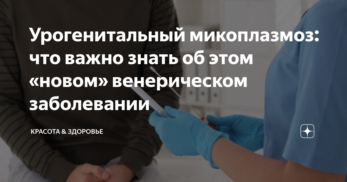 Урогенитальный микоплазмоз: что важно знать об этом «новом» венерическом заболевании