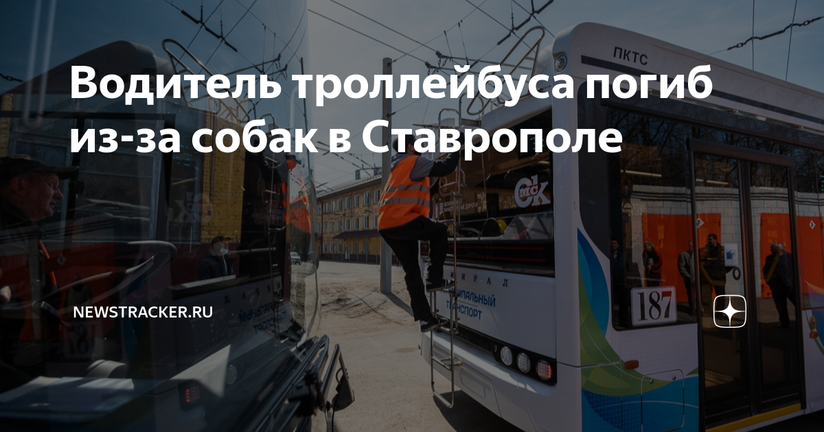 я водитель троллейбуса