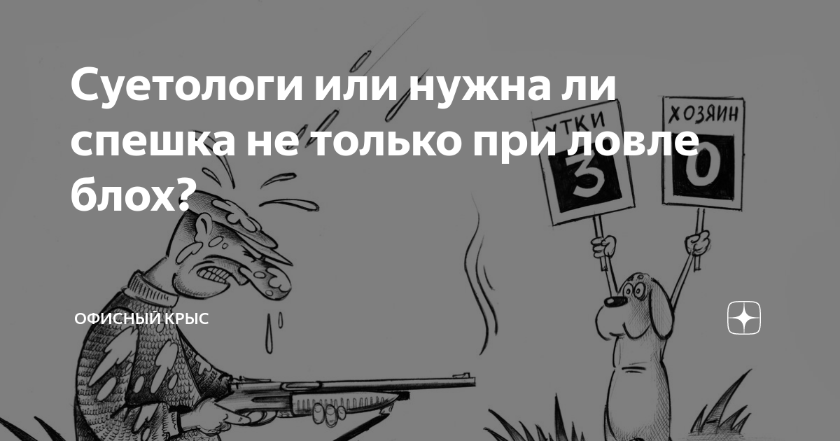 Суетологи или нужна ли спешка не только при ловле блох? | Офисный крыс ...