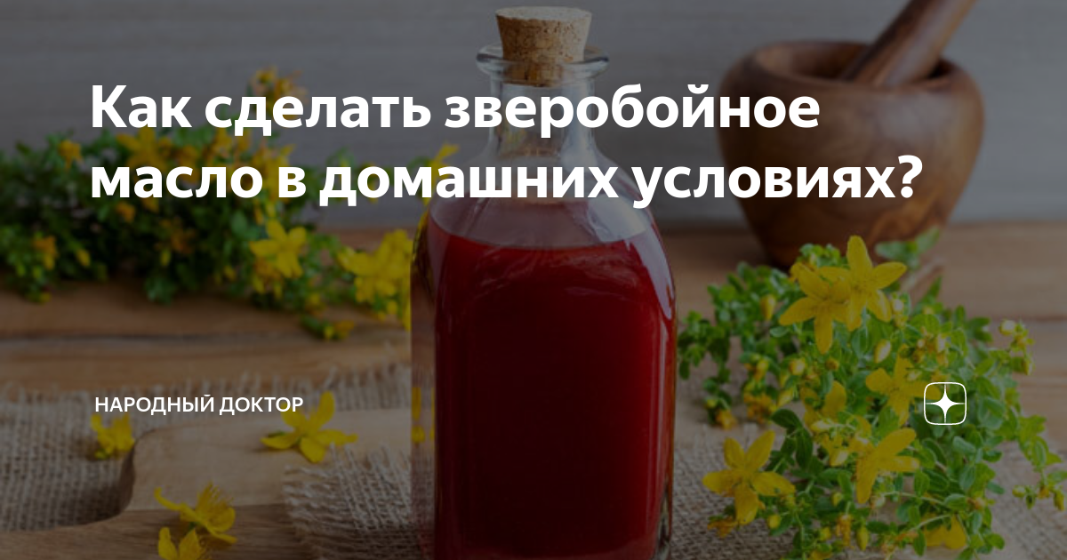 Как приготовить препараты из зверобоя в домашних условиях