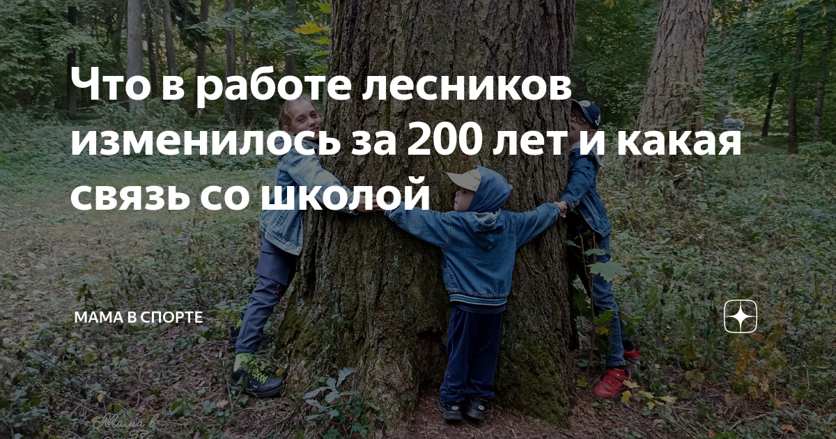 Что в работе лесников изменилось за 200 лет и какая связь со школой ...