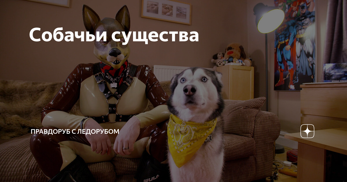 Собачьи существа | Правдоруб с ледорубом | Дзен