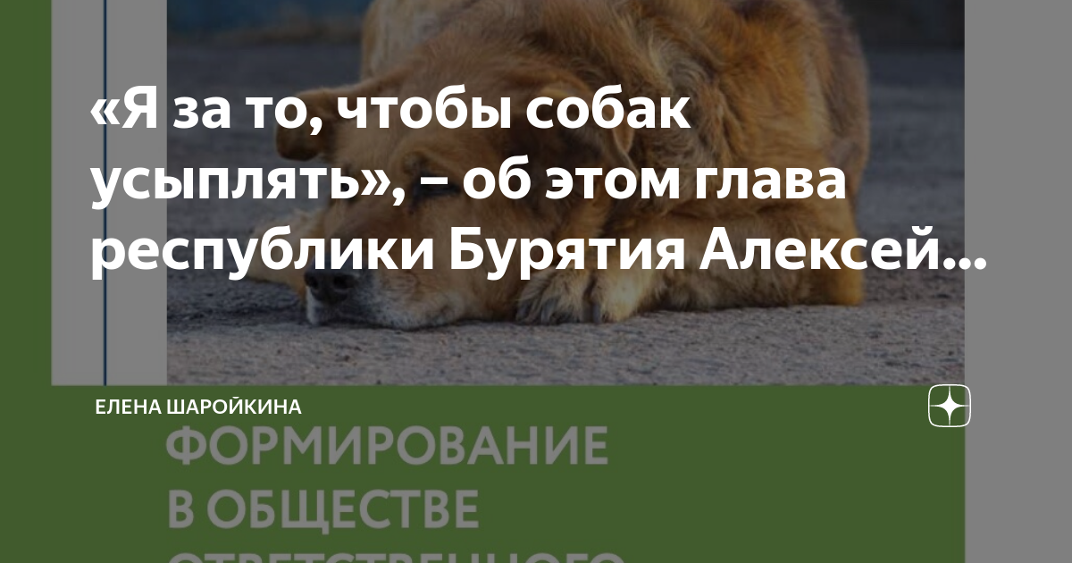 Закон об усыплении животных 2025. Акт об усыплении собак. Пришлось усыпить собаку как пережить форум.
