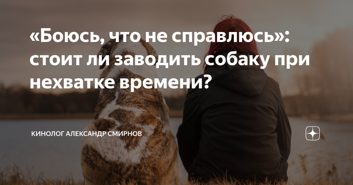 Завести собаку мем. Щенок пугливый. Собака пылесосит. Собака боится. Женщина с собакой.