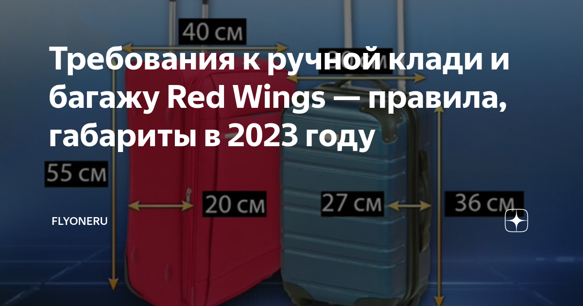 Размер ручной клади в 2024 году. Габариты ручной клади ред Вингс 2023. Red Wings ручная кладь. Габариты ручной клади победа 2023. Ручная кладь габариты 2023.