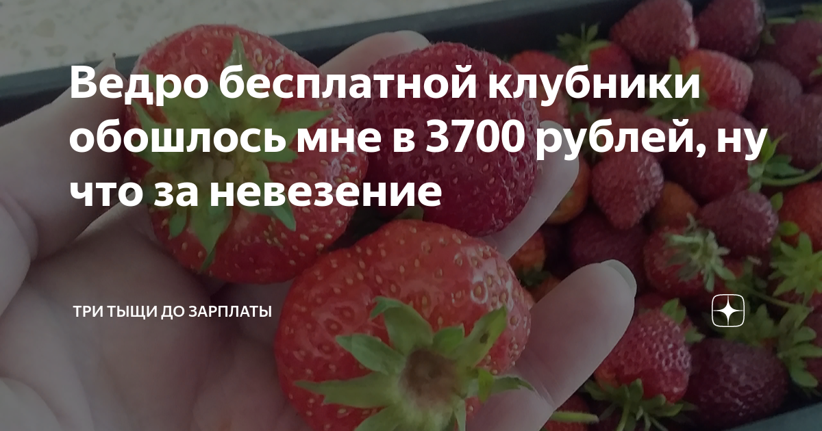 сколько капель йода на ведро воды для клубники