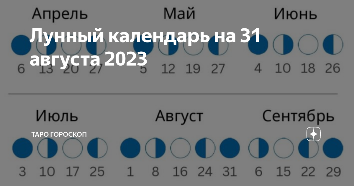 Лунный календарь на 2025 год Три божества Долгой Жизни , 35 х 50 см - купить с д