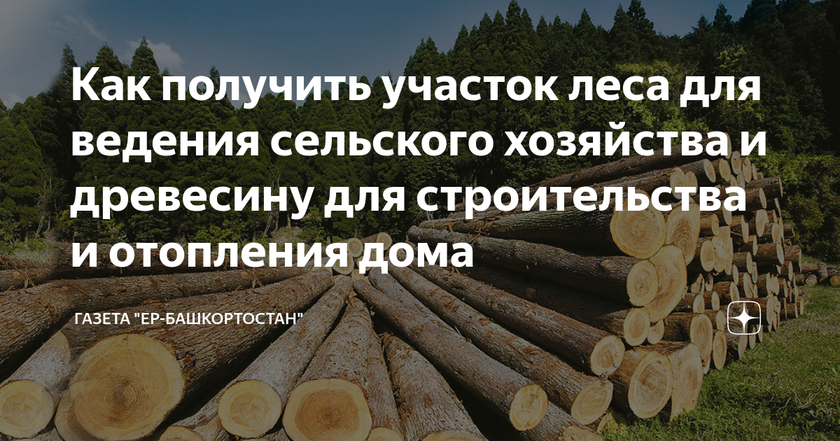 Как получить бесплатную делянку. Как получить бесплатную делянку