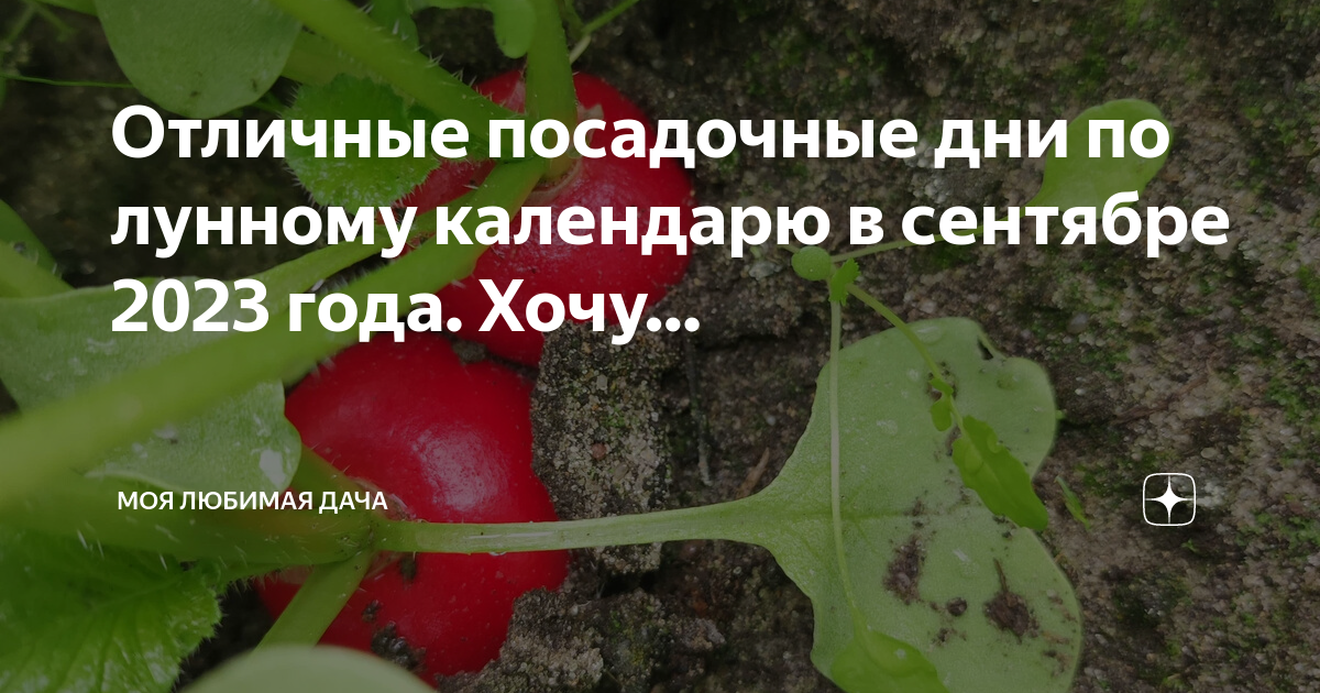 Посадочные дни в мае 2023