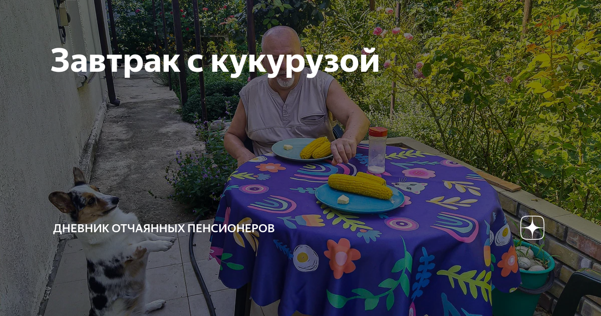 Завтрак с кукурузой | Дневник отчаянных пенсионеров | Дзен