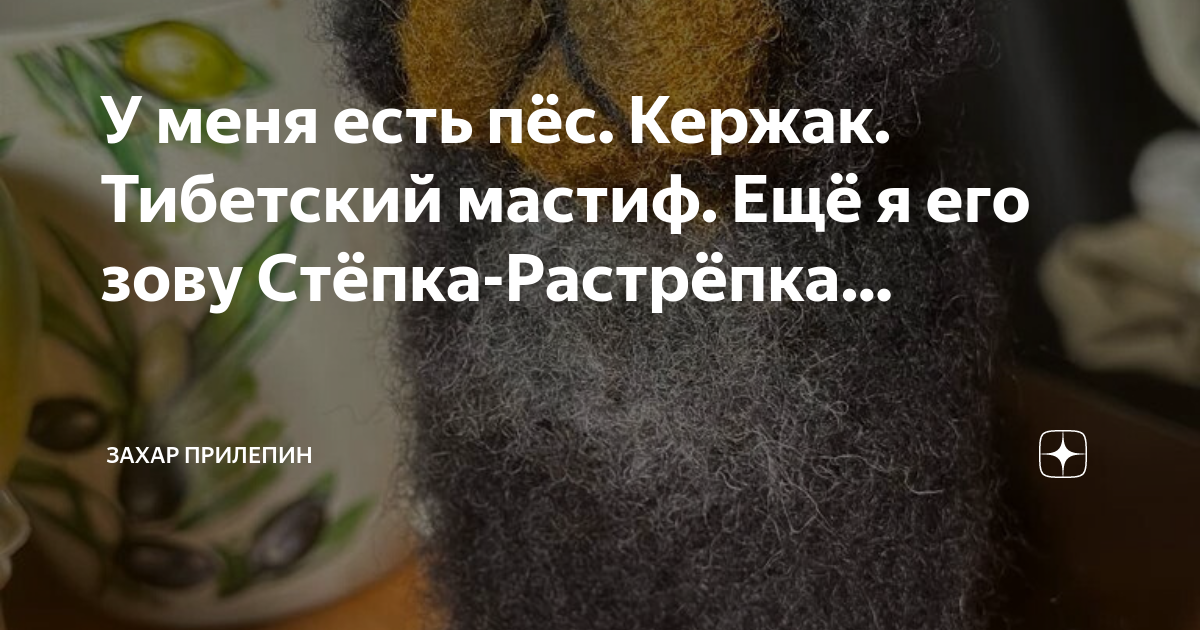 У меня есть пёс. Кержак. Тибетский мастиф. Ещё я его зову Стёпка ...
