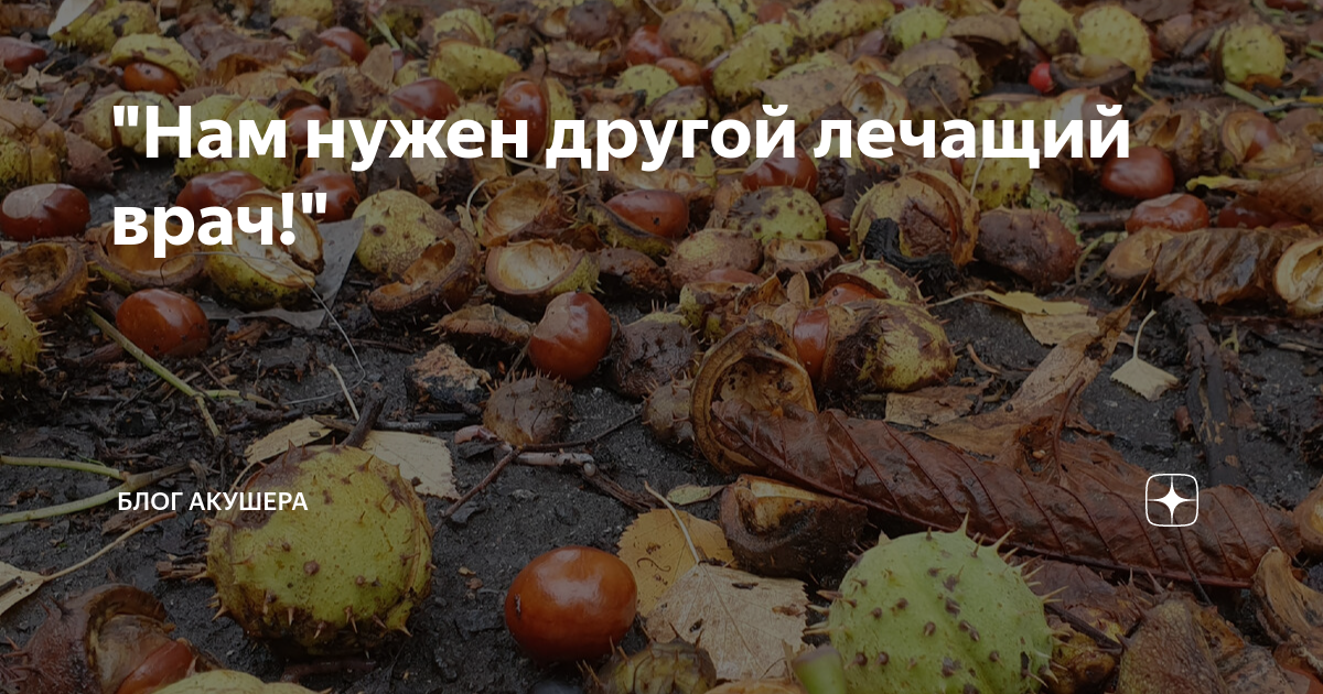 "Нам нужен другой лечащий врач!" | Блог акушера | Дзен