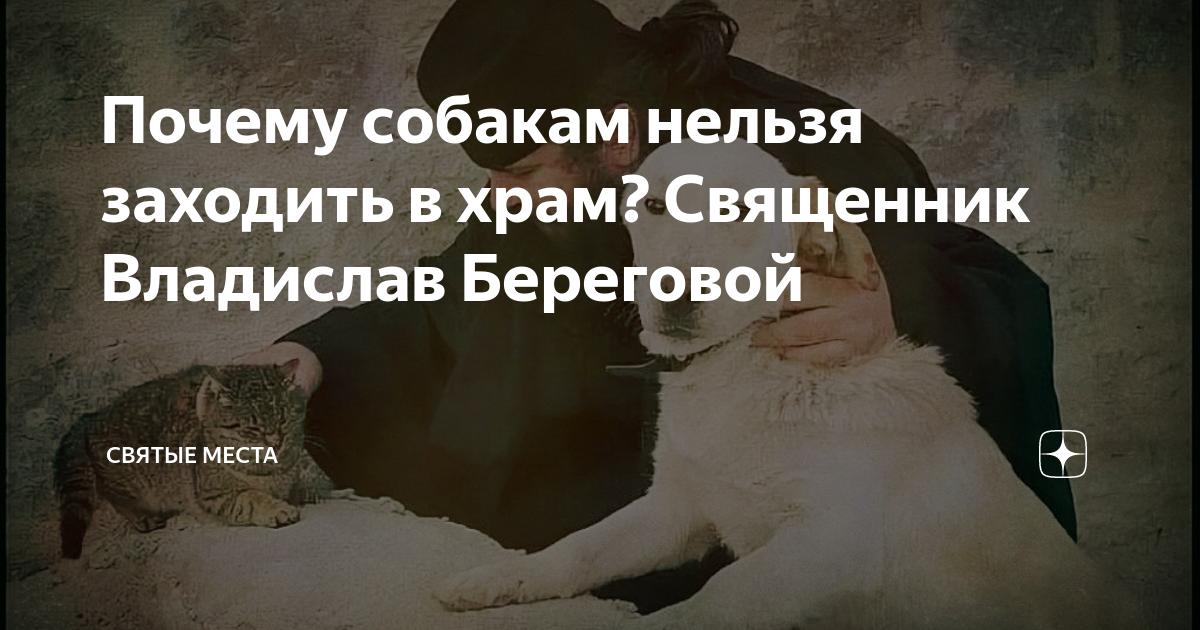 Собаки и церковь: отношение к собакам в мировых религиях