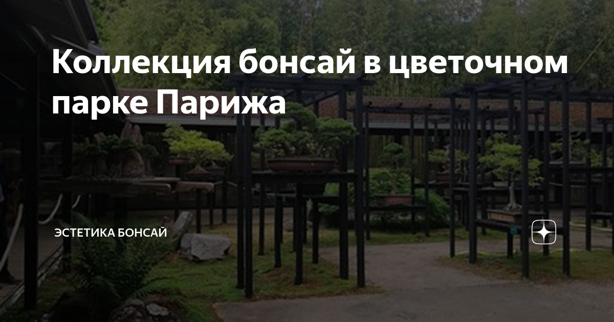 告别小蓝鸟，推特正式启用「X」标志，如何看待此举？ - 知乎