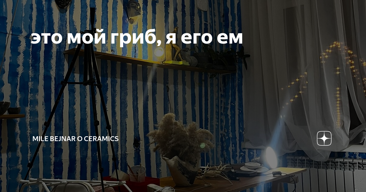 Забавные ящерицы. Ненавижу грибы. Звук это мой гриб. Гриб мем. Этой мой гриб.