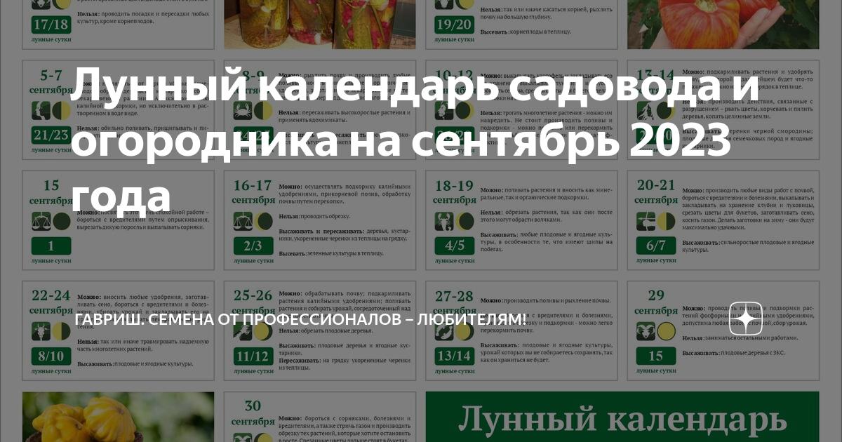 Календарь садовода на октябрь 2023 год Лунный календарь садовода и огородника на сентябрь 2023 года Гавриш. Семена от п