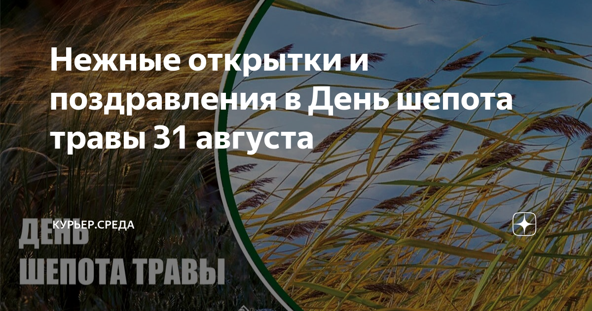 Песня: Солнце светит и растет трава - это Родина твоя. Голосовые поздравления с Днем России