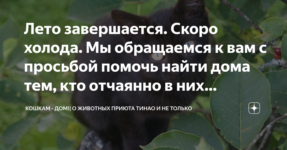 Лето завершается. Скоро холода. Мы обращаемся к вам с просьбой помочь ...