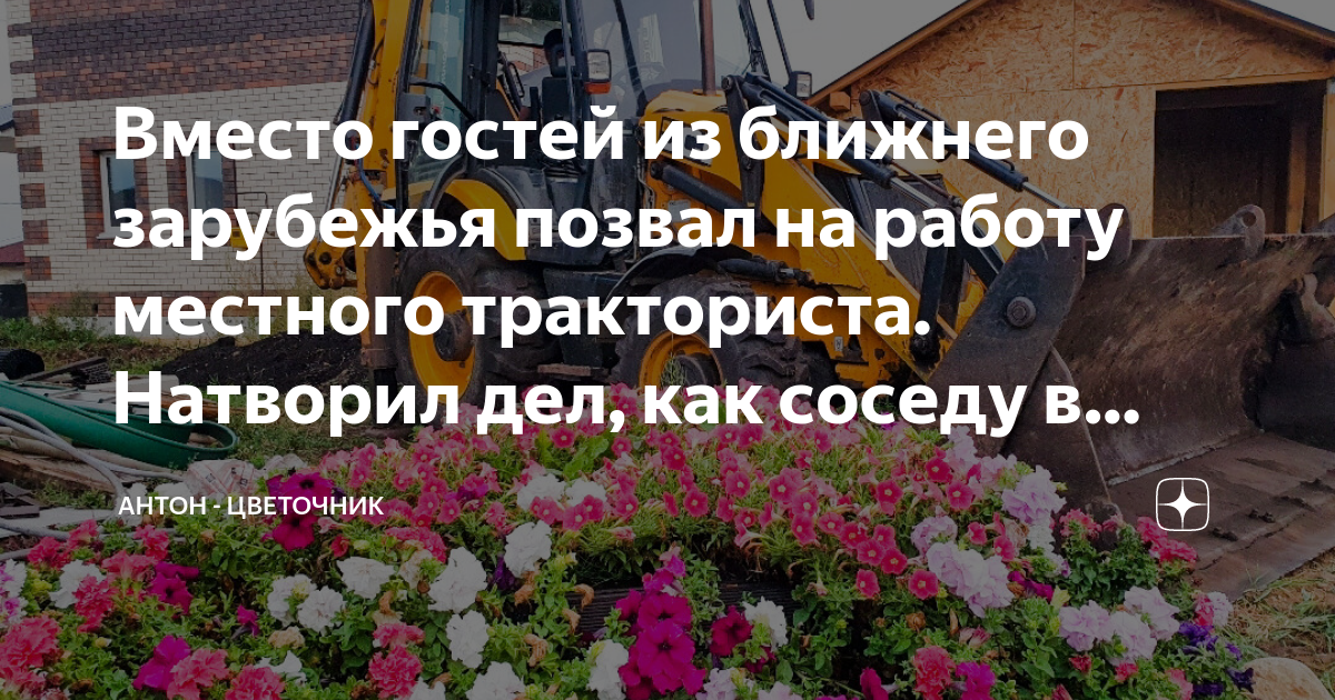 Вместо гостей из ближнего зарубежья позвал на работу местного ...