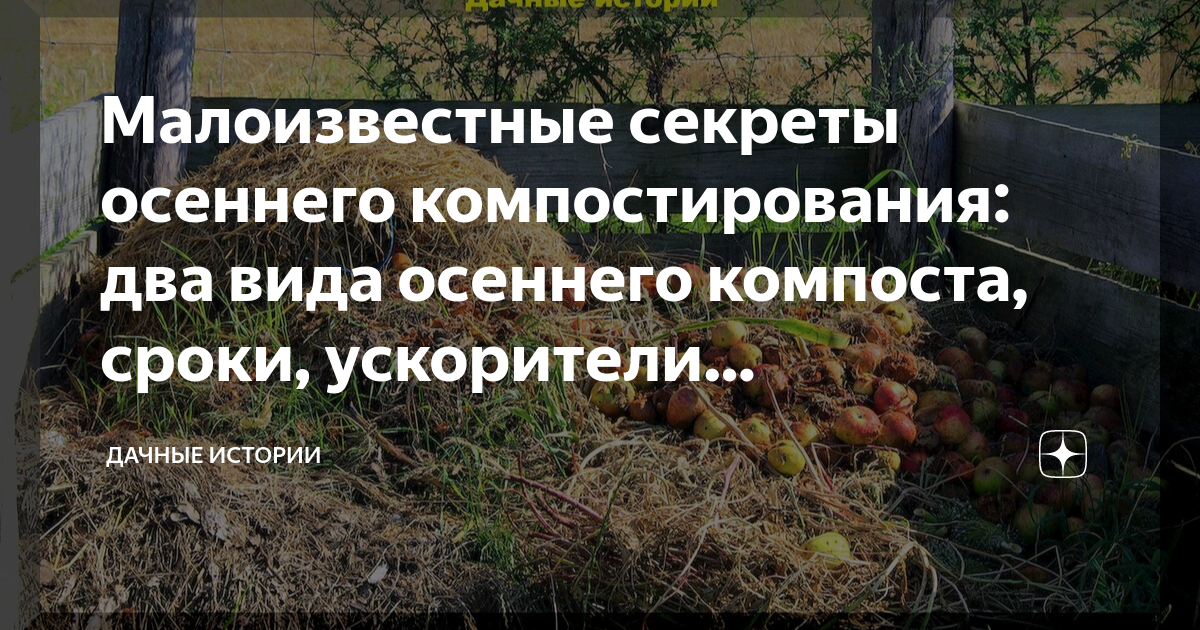 Малоизвестные секреты осеннего компостирования: два вида осеннего ...
